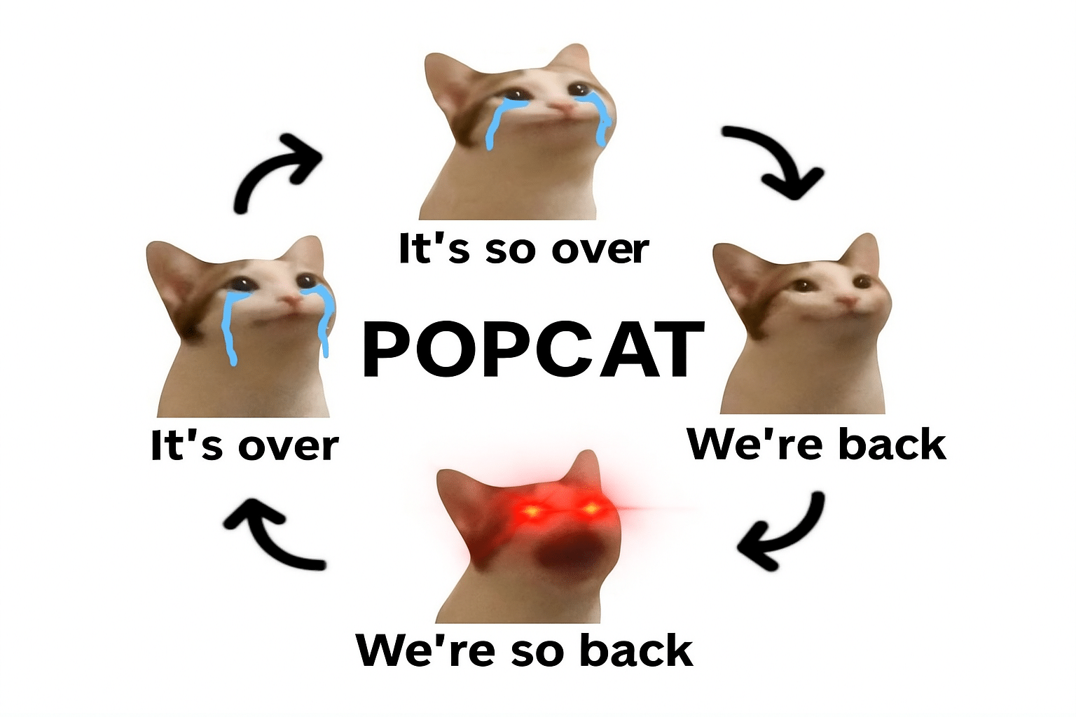 Popcat Crypto Is Not Done Yet – One of the Best Meme Coins to Buy on Solana?