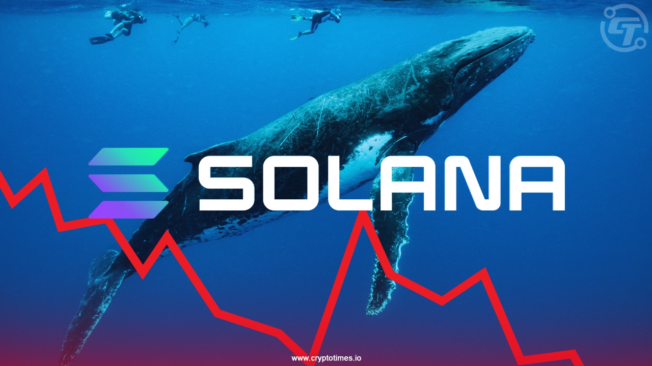 Solana Whales Start Selling as Price Risks Falling Below $100